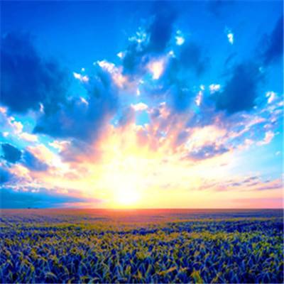 乐发彩票APP。截图