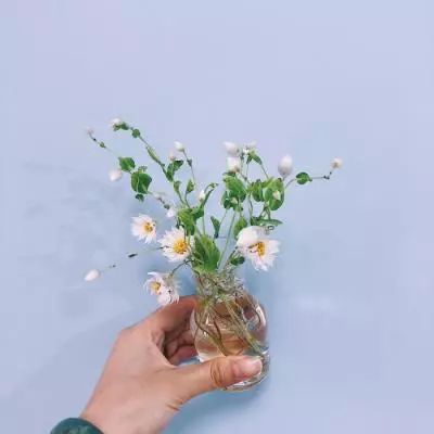 万博全站(ManBetX)手机app下载